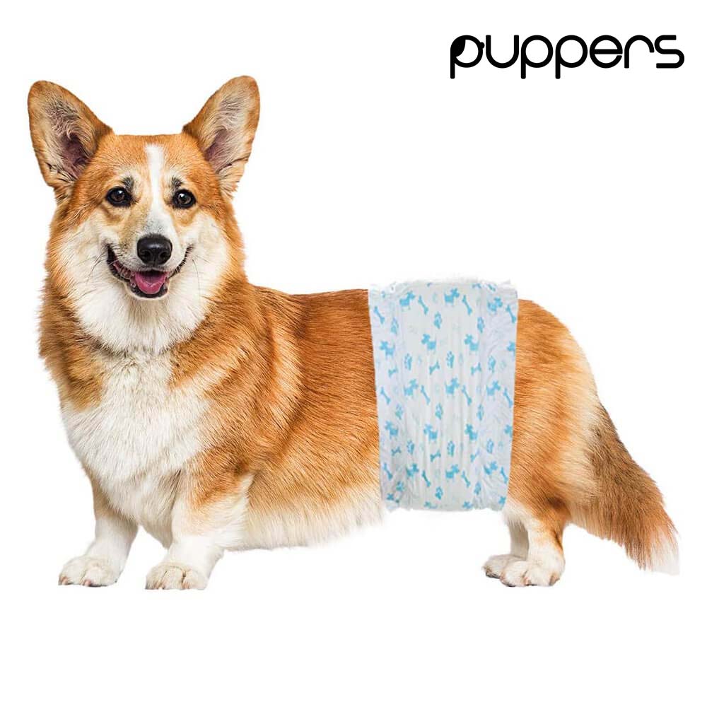 pieluchy pampers 2 biale