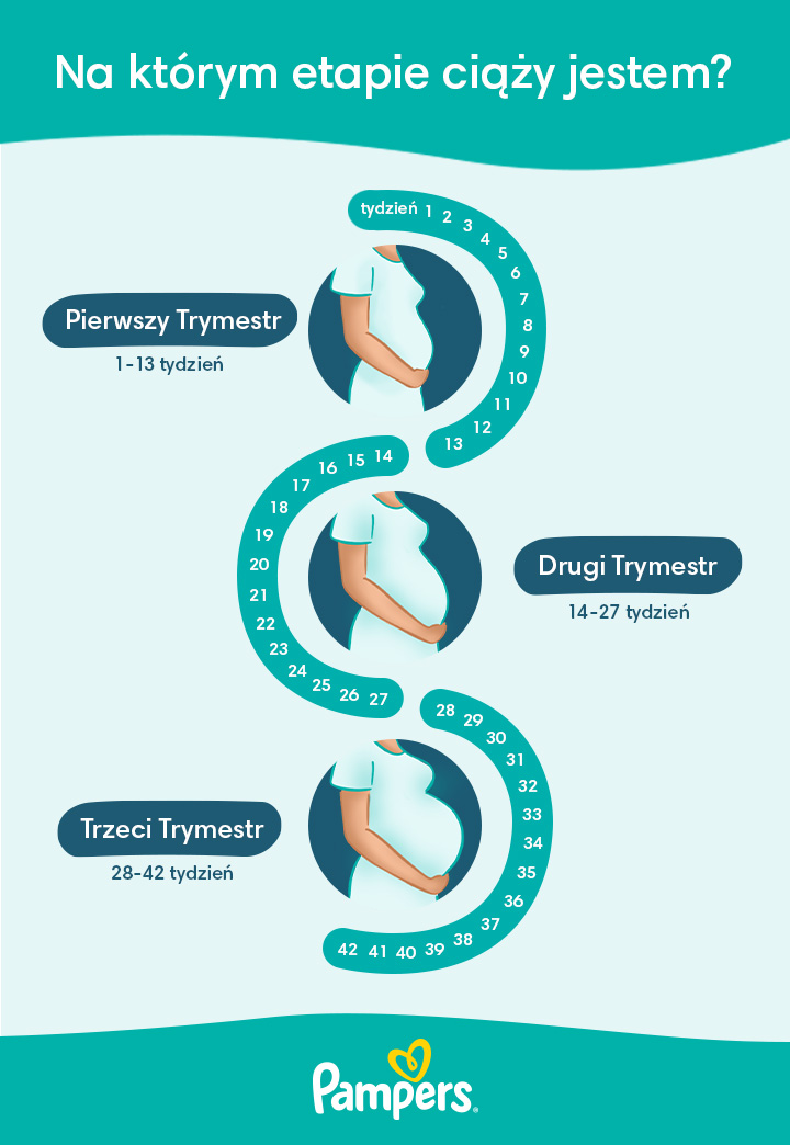 czym się różnią pieluchy active od sleep and play