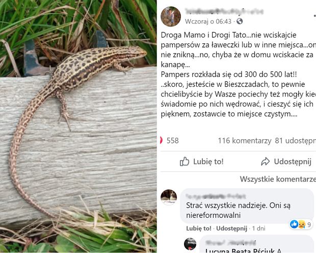 Zestaw obiadowy Śliniaki