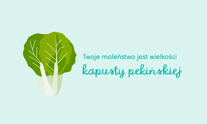 pieluchomajtki dla dorosłych limity cenowe