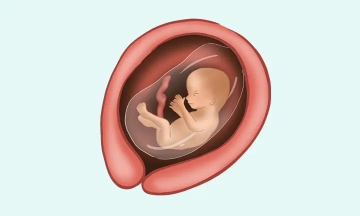 Japońskie (pieluszki podciągane) pieluchomajtki do pływania Moony dla chłopców PL 9-14kg 3szt