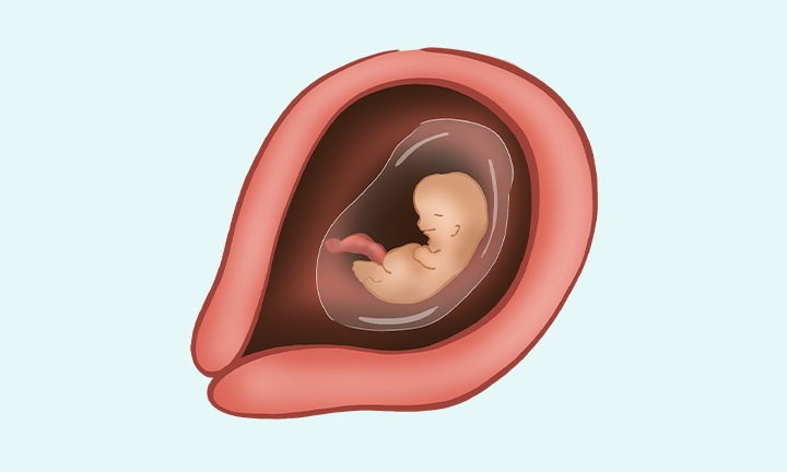 BabyOno 723 Silikonowa szczoteczka do zębów