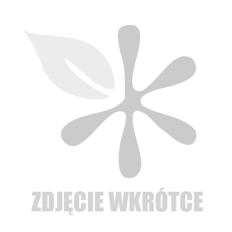 Spodnie pływackie Goo.N XL 12-22kg 4szt