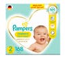 pieluchomajtki pampers premium care 5