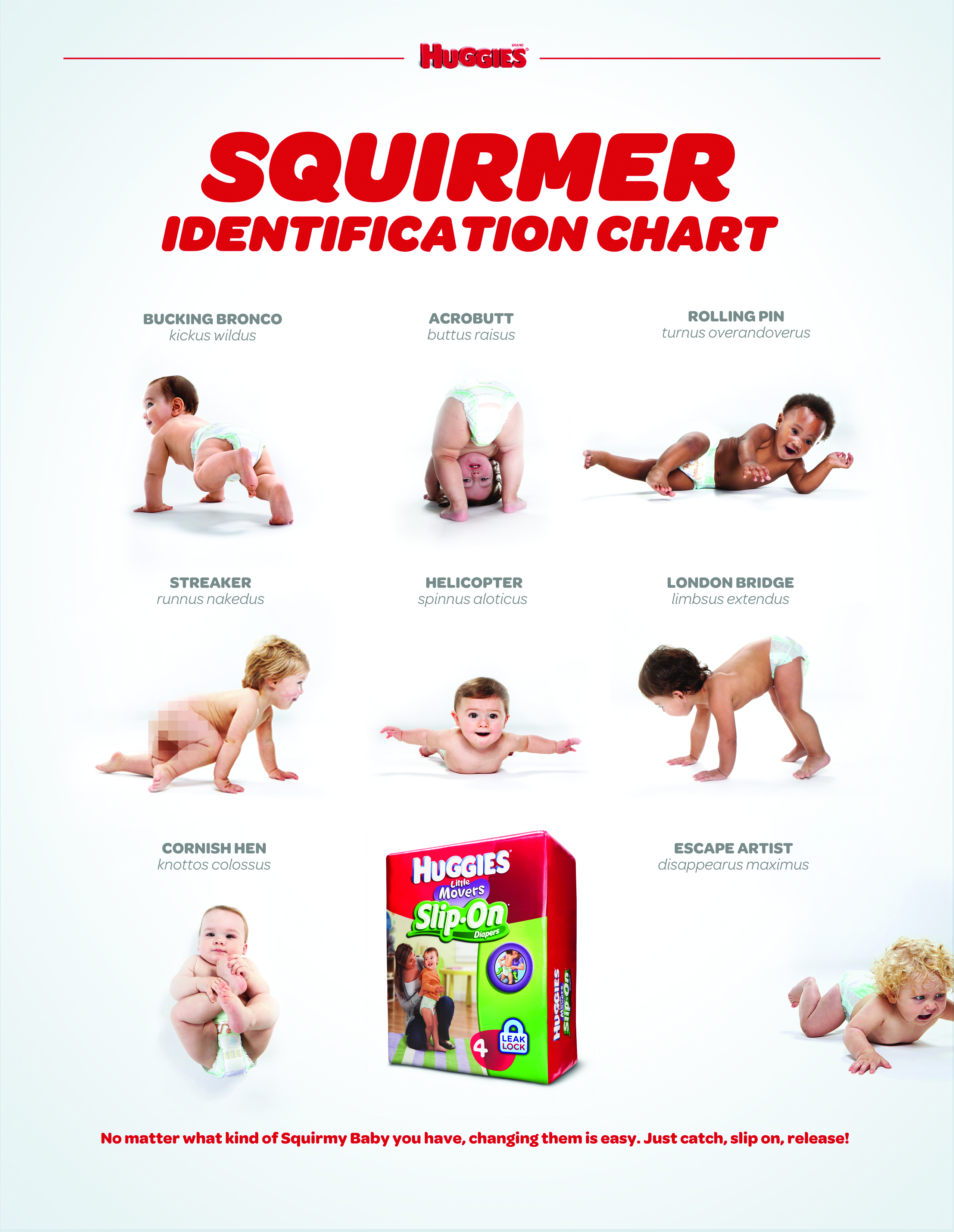 site rozmiary.com.pl pampers rozmiary