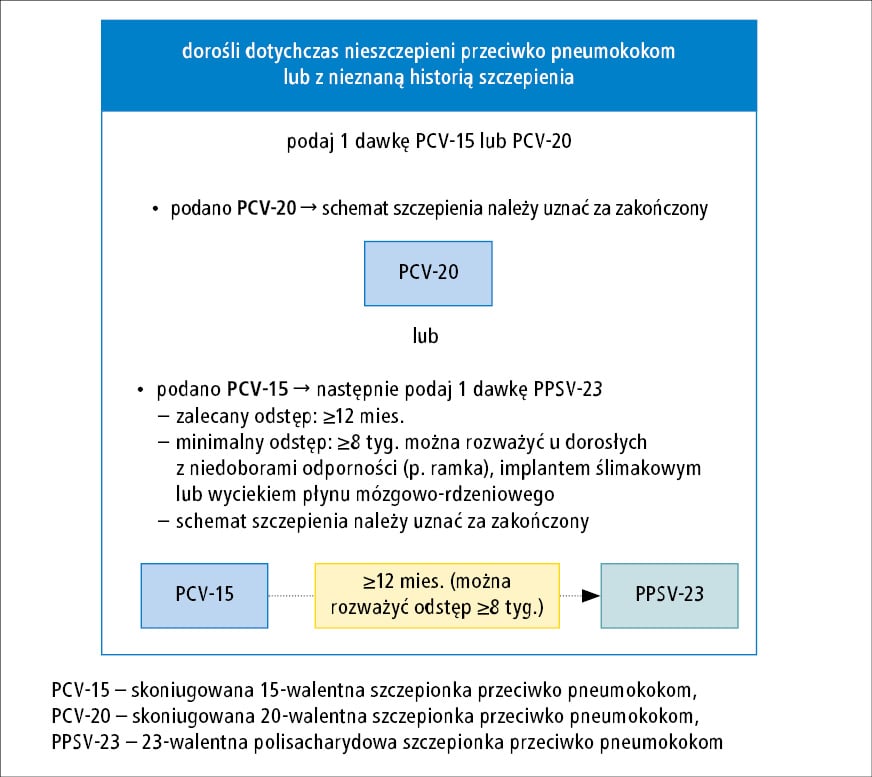 pieluszki pampers premium cere chusteczki