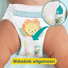 biedronka pampers extra care promocja