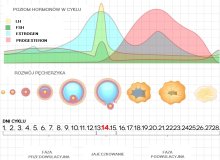 pampers pieluchomajtki próbki 5