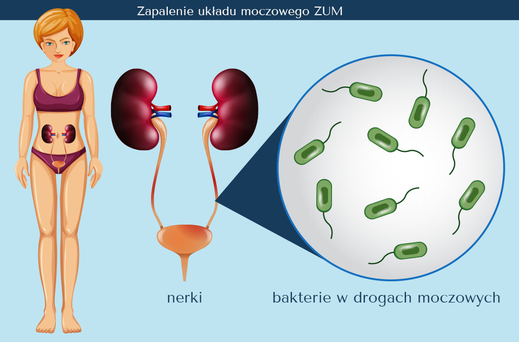 pudełko chusteczki nawilżane