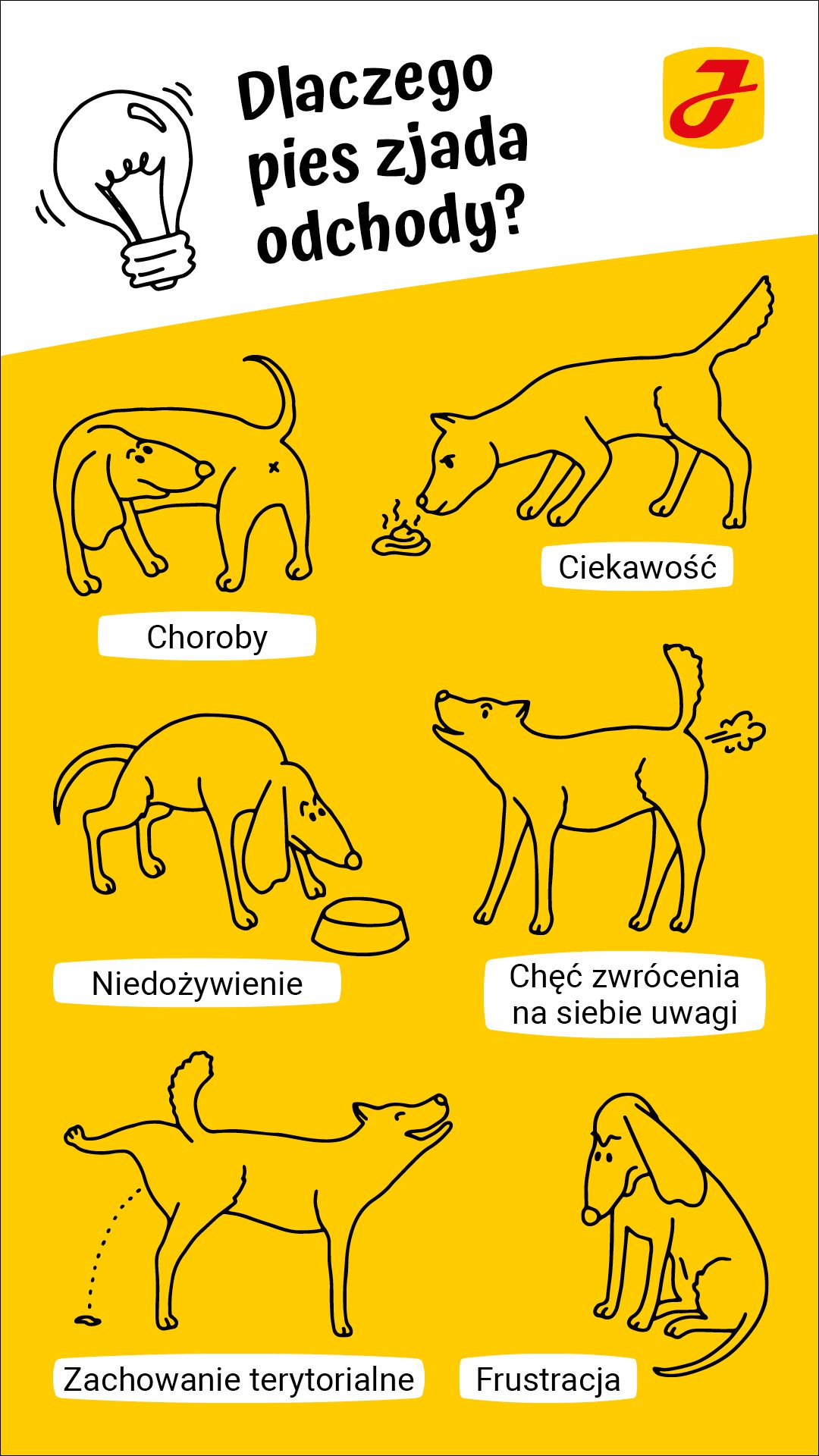 zielona chatka sklep pieluchy