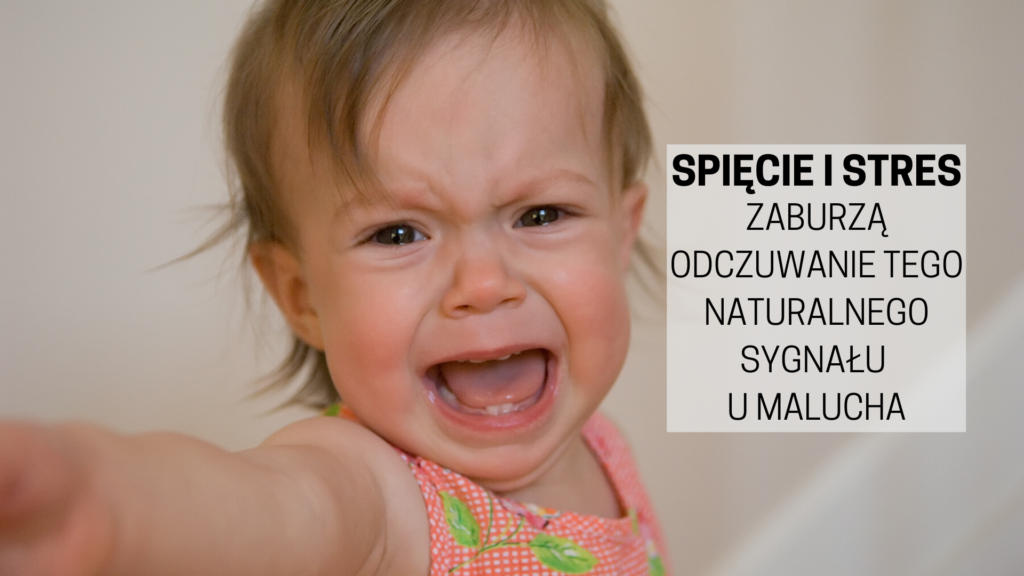 chusteczki nawilżane vickeys