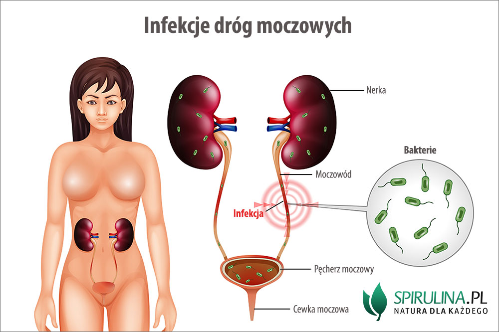 Saraya „Yashinomi” Środek do mycia naczyń kuchennych i warzyw 500ml