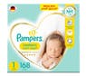 pampers pant 48