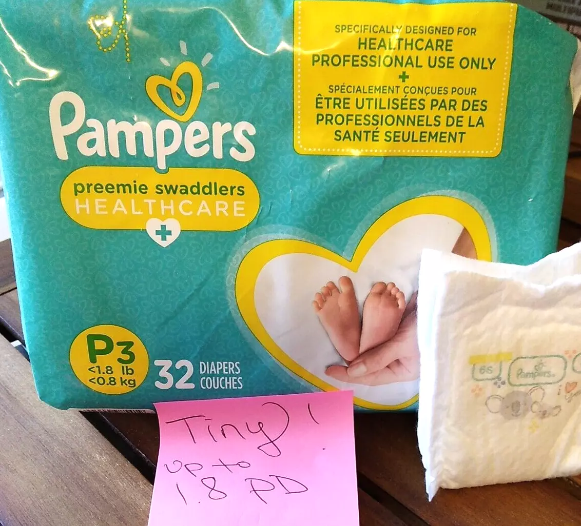 pampers angielski