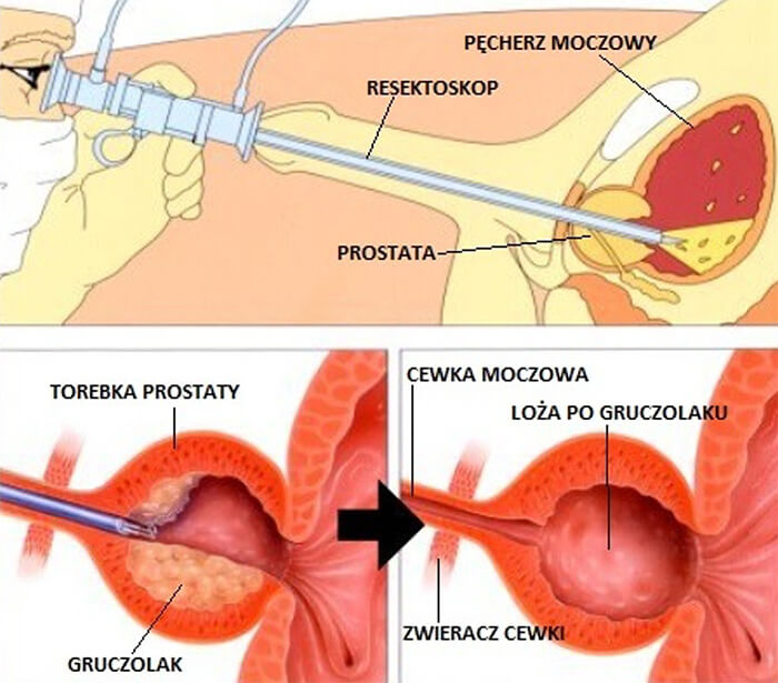 velvet chusteczki nawilżane pure cena