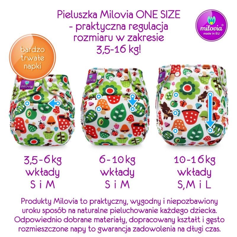 dla-niemowlaka-pampers-cleanic-dzidzius.html