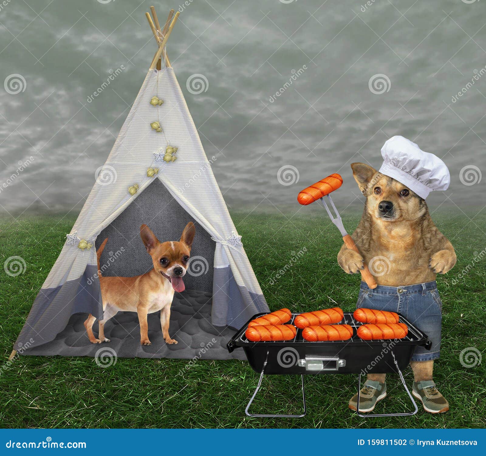 chusteczki nawilżane cena