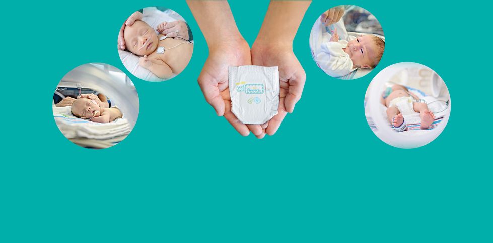 ceneo pampers premium care newborn